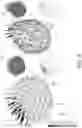 Fig. 10 - 3D IMAGE ANALYSIS PLATFORM FOR NEUROLOGICAL CONDITIONS