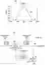 Fig. 06 - Inverse radar sensor model and evidential grid mapping processors