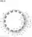 Fig. 06 - ROTARY ELECTRIC MACHINE