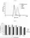 Fig. 06 - NOVEL CERIUM OXIDE NANOCOMPLEX AND A COMPOSITION FOR PREVENTING OR TREATING CEREBRAL INFARCTION COMPRISING THE SAME