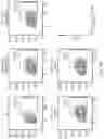 Fig. 05 - Engineered Cytolytic Immunecell
