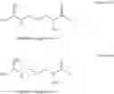 Fig. 04 - COMPOSITIONS AND METHODS FOR PROMOTING AND/OR MAINTAINING  VAGINOVULVAL AND PERIANAL TISSUE VITALITY AND TISSUE HEALTH