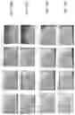 Fig. 28 - COMPOSITIONS AND METHODS FOR PROMOTING AND/OR MAINTAINING  VAGINOVULVAL AND PERIANAL TISSUE VITALITY AND TISSUE HEALTH