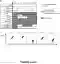 Fig. 08 - NOVEL ANTIBODIES