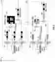Fig. 09 - PROCESSING VIDEO CONTENT USING GATED TRANSFORMER NEURAL NETWORKS