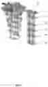 Fig. 07 - CRYOGENIC COOLING SYSTEM AND AN INSERT THEREFOR