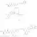 Fig. 461 - Selective drug release from internalized conjugates of biologically active compounds