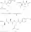 Fig. 468 - Selective drug release from internalized conjugates of biologically active compounds