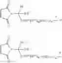 Fig. 76 - Selective drug release from internalized conjugates of biologically active compounds