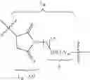 Fig. 97 - Selective drug release from internalized conjugates of biologically active compounds