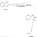 Fig. 05 - MEANS AND METHODS FOR VISUALIZATION OF TISSUE STRUCTURES
