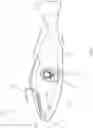 Fig. 06 - APPARATUS AND SYSTEM TO ATTRACT FISH WITH AN ACOUSTICAL LURE