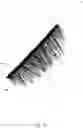 Fig. 02 - ARTIFICIAL EYELASH STRIPS HAVING MAGNETIC ELEMENTS