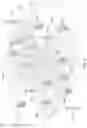 Fig. 08 - PROVIDING SECONDARY COVERAGE IN A MOBILE COMMUNICATION SYSTEM