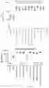 Fig. 08 - Compositions and methods of manufacturing trivalent filovirus vaccines
