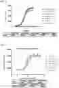 Fig. 03 - FUSION PROTEINS AND USES THEREOF