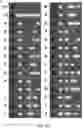 Fig. 06 - Lithography for editable atomic-scale devices and memories