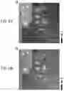 Fig. 08 - Lithography for editable atomic-scale devices and memories