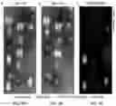 Fig. 17 - Lithography for editable atomic-scale devices and memories