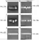 Fig. 18 - Lithography for editable atomic-scale devices and memories
