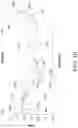 Fig. 11 - METHOD AND APPARATUS FOR BIOLOGICAL EVALUATION