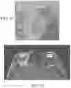 Fig. 30 - METHOD AND APPARATUS FOR BIOLOGICAL EVALUATION