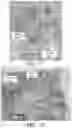 Fig. 32 - METHOD AND APPARATUS FOR BIOLOGICAL EVALUATION