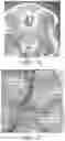 Fig. 33 - METHOD AND APPARATUS FOR BIOLOGICAL EVALUATION