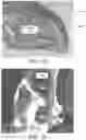 Fig. 34 - METHOD AND APPARATUS FOR BIOLOGICAL EVALUATION