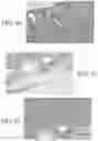 Fig. 35 - METHOD AND APPARATUS FOR BIOLOGICAL EVALUATION