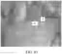 Fig. 36 - METHOD AND APPARATUS FOR BIOLOGICAL EVALUATION