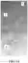 Fig. 37 - METHOD AND APPARATUS FOR BIOLOGICAL EVALUATION