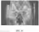 Fig. 40 - METHOD AND APPARATUS FOR BIOLOGICAL EVALUATION