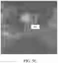 Fig. 47 - METHOD AND APPARATUS FOR BIOLOGICAL EVALUATION