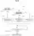 Fig. 18 - HUMIDIFIER