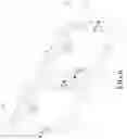 Fig. 07 - LOCKING MEMBER FOR BUILDING FORMWORKS
