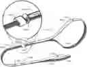 Fig. 01 - DOG TRAINING LEASH