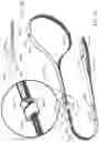 Fig. 02 - DOG TRAINING LEASH