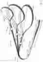 Fig. 03 - DOG TRAINING LEASH
