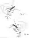 Fig. 43 - DOG TRAINING LEASH