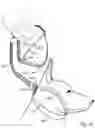 Fig. 45 - DOG TRAINING LEASH