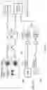Fig. 12 - NUCLEAR SPIN WAVE QUANTUM REGISTER FOR SOLID STATE QUANTUM NETWORK NODES
