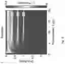 Fig. 17 - NUCLEAR SPIN WAVE QUANTUM REGISTER FOR SOLID STATE QUANTUM NETWORK NODES