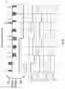 Fig. 18 - NUCLEAR SPIN WAVE QUANTUM REGISTER FOR SOLID STATE QUANTUM NETWORK NODES