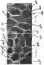 Fig. 05 - Mechanical reticulation of polymeric-based closed cell foams