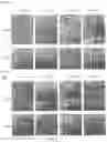Fig. 06 - Mechanical reticulation of polymeric-based closed cell foams