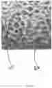 Fig. 09 - Mechanical reticulation of polymeric-based closed cell foams