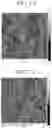 Fig. 09 - Nucleated polyolefin compositions and methods and uses thereof