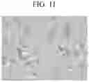 Fig. 14 - Nucleated polyolefin compositions and methods and uses thereof