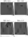 Fig. 15 - Nucleated polyolefin compositions and methods and uses thereof